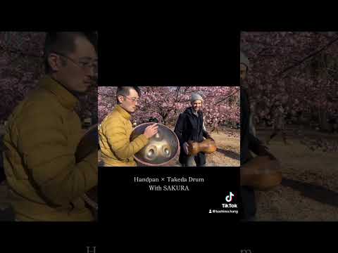 Handpan × Takeda Drum with Sakura #ハンドパン #handpan #percussion #桜 #竹 #代々木公園