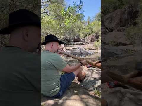Handpan in Nature with Didgeridoo | Mt Ninderry Pt.2 #shorts