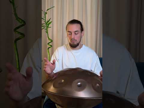 Pelalex Music - C# Kurd 12+8 HANDPAN - Stainless Steel | Handpan Review