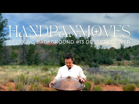 Relaxing Background #13 • 1 hour of Handpan #relaxingmusic  • Handpanmoves | Desert Flower | 4KVideo