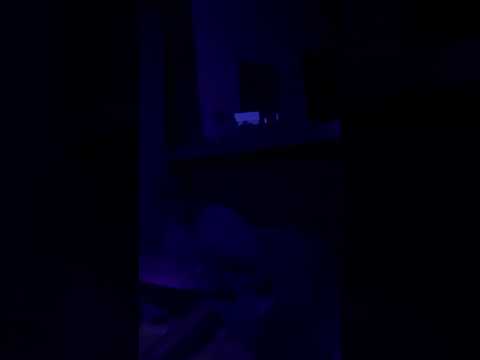 Despertar del Ser: Tambor Ceremonial en Vivo