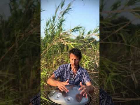 The Wispher of the Maremma winds | Alwin Steinle | Handpan  #handpan #handpanmusic #music #flow