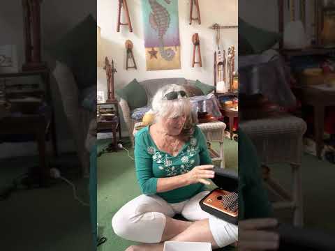 @thathandpanlady4510  … A NEW TOY!  A Gecko kalimba!!  🤗🛸🎶🦋