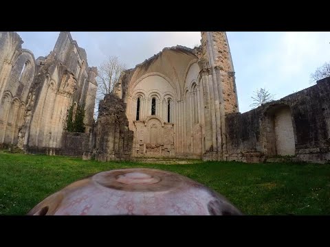 Handpan E AMARA - 20 Notes - L'abeille dans l'Abbaye