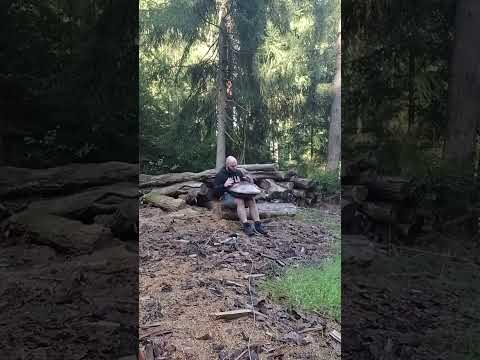 Talking to the Woods