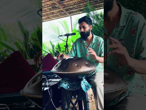 Little snippet from gig at Garden of Dreams, Goa #handpan #electroacoustic #livelooping