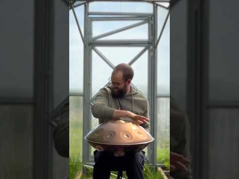 The Bumblebee | Handpan music to feel calm | Olivér Inspira