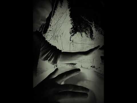 Handpan Poet - this is not a turtle