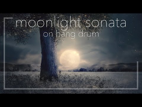 Moonlight Sonata on Hang Drum • Ludwig van Beethoven • Piano Sonata No. 14 • Extended version