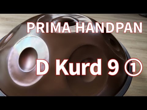 【ハンドパン販売】PRIMA HANDPAN / D kurd ①  試奏2