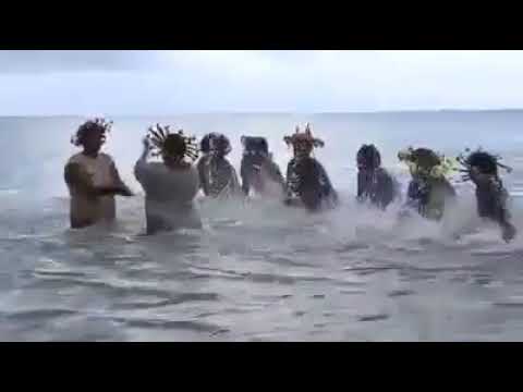 Percussions aquatiques du Vanuatu : musique dans l'eau 🔴 djoliba music store