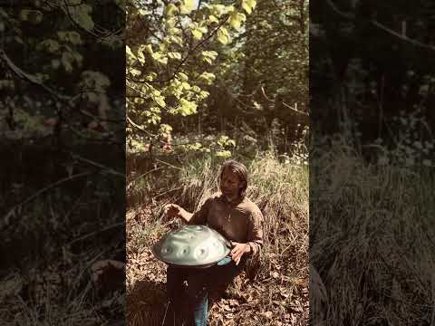 The breath of the forest | Alwin Steinle | Handpan  #handpan #handpanmusic #music #flow #intuition