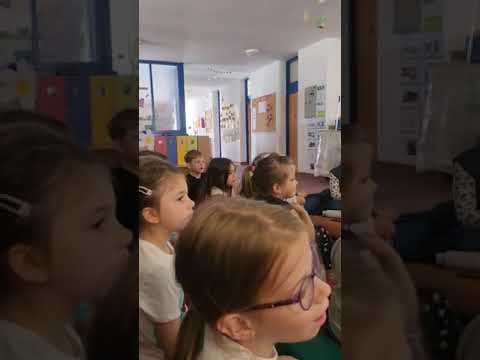 Handpan music for the Kids | Kindergarden | Percussion | Concert | @vibehandpan6726