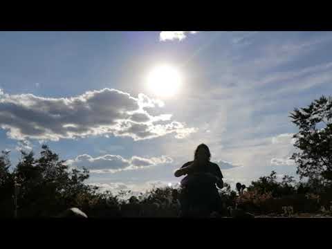 travel awareness - colibrí  [speed handpan kurd F]