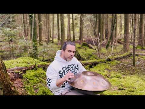 Forest Talk I Handpan Relaxin Music I Dani Banu