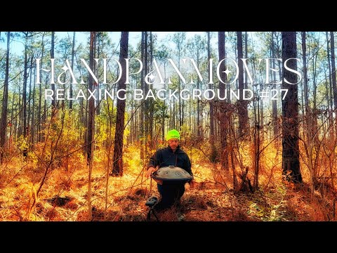 Relaxing Background Music #27 • 1 hour of Handpan #music  • Handpanmoves | In The Woods