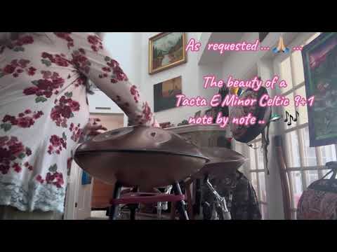 πΈπΆ π Tacta Handpans ~ E Minor Celtic ~ 9+1 π πΆπΈ