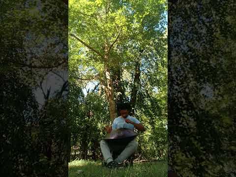 Handpan session  - Odin's  Formula