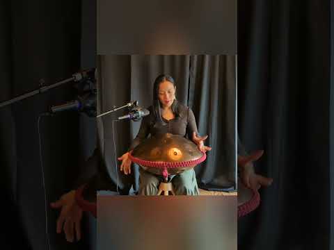 "Rose Garden" - handpan:c# harmonic minor Handromeda