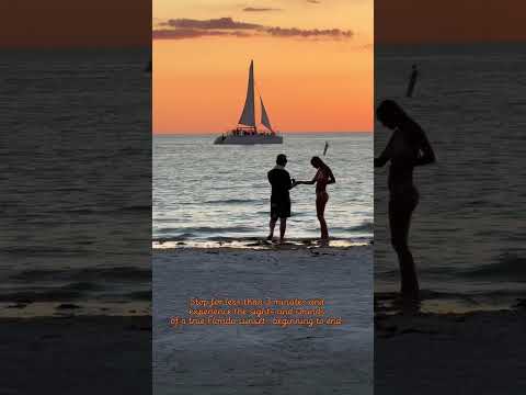 I offer you a moment or two of serenity  …. ☺️ … 🦋 …