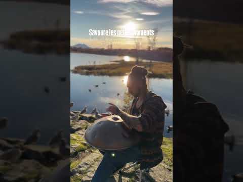Happy Life#handpan #music #sunset #backdrop #stream ##nature #melodious #calmness#enjoy #life#viral