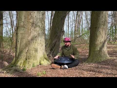 In harmony with the birds / Hangdrum D Kurd / nature vibes in spring / forest session