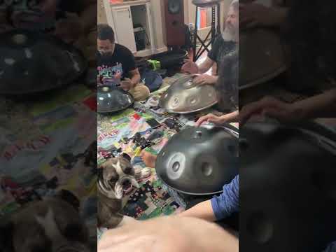 That Handpan Lady β¦ hanging out with a few members of the Virginia Handpan Community!! π₯°πΈπΆπ¦