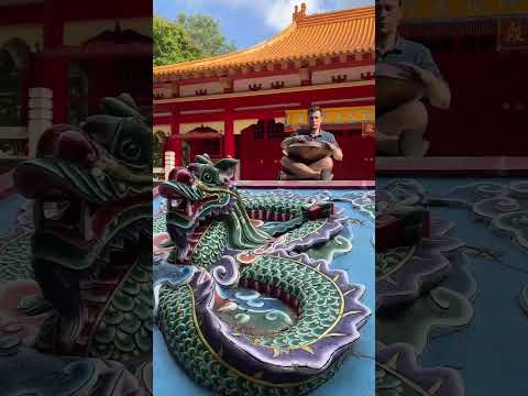Handpan D Kurd 9 - Confucius temple Chiayi - Taiwan