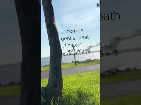 Where Time Softens 時がやわらぐ場所 #shorts #nature #handpan #calm #timeless played by C Ashakiran 16