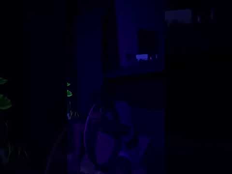 Danza de los Elementos: Sonajas y Tambor (Parte 1)