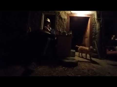 handpan night practice :) old djangarpans handpan E - Kurd