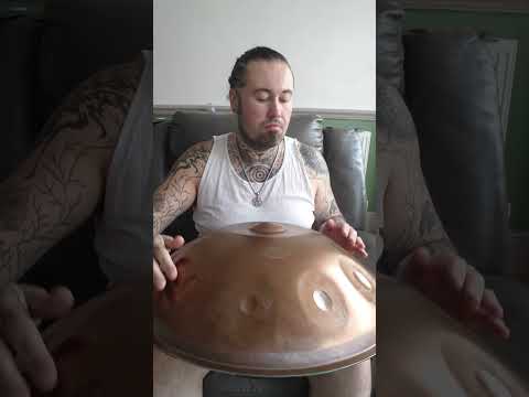 malte marten see if I can remember Phoenix #handpan
