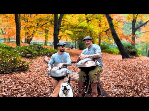 A Peaceful Afternoon In The Woods With Lyttle The Dog | 1 Hour Handpan Music