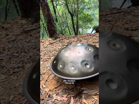 F#kurd 23  #handpan #handpanmusic #hangdrum #handpanyogamusic #drummer #pantam