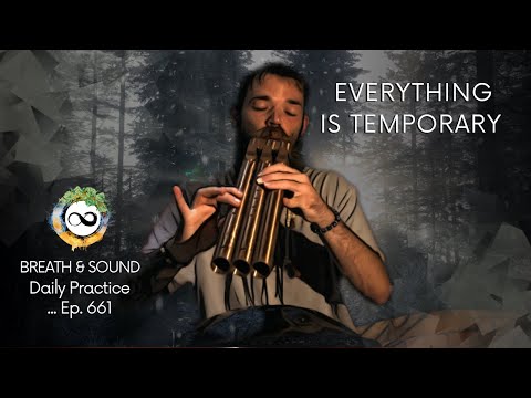 Live, and Let Live  | Relief Meditation | Guided Breathwork & Sound | Ep. 661