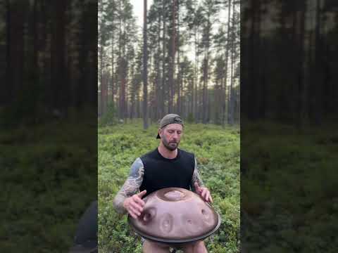 Handpan F#2 Shambhala #nature #music #handpan