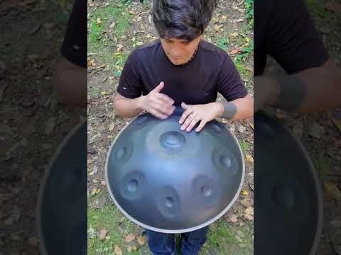 Serenading The Birds/Handpan Music