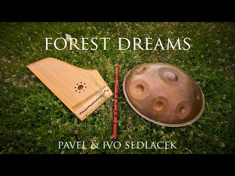 FOREST DREAMS | music for meditation (Ivo & Pavel Sedlacek)