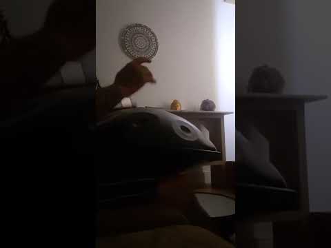 Handpan D Kurd12