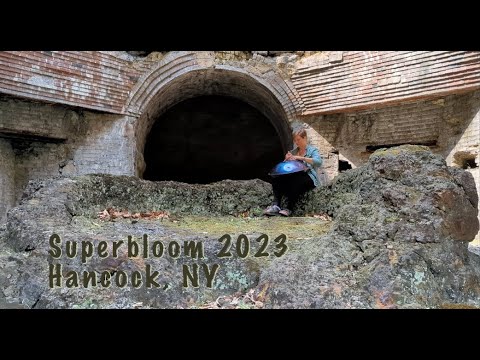 SuperBloom Overview