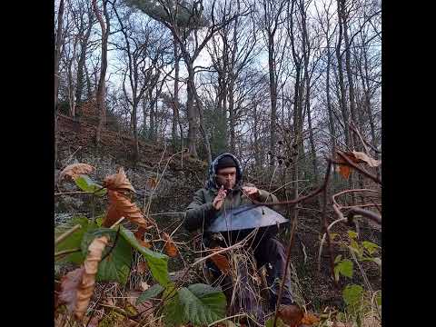 Handpan D Kurd 9+1 Kleine Wald Session auf meinem Baumstumpf