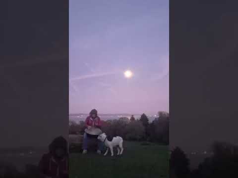 Moon Lite Sky