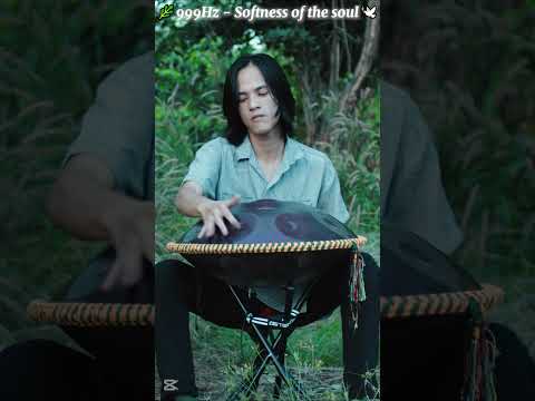Softness of the soul | handpan music @Handpanion