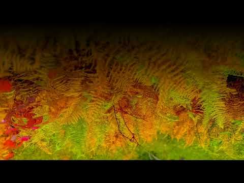 Low Frequency G (432Hz) 1-Hour BACKGROUND DEEP BASS Sounds for MEDITATION| DEEP FOCUS | DEEP SLEEP