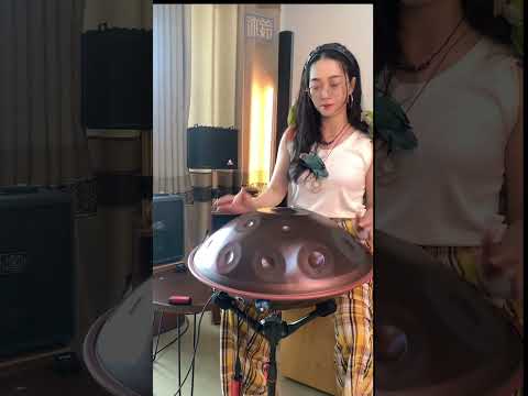 D KURD 15 handpan pickup from "New York City Subway" can enlarge details, even birds like HANADPN