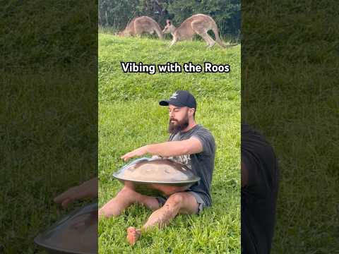 Handpan in nature but with Kangaroos