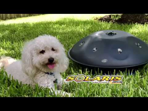 Solaris Handpan Integral in D