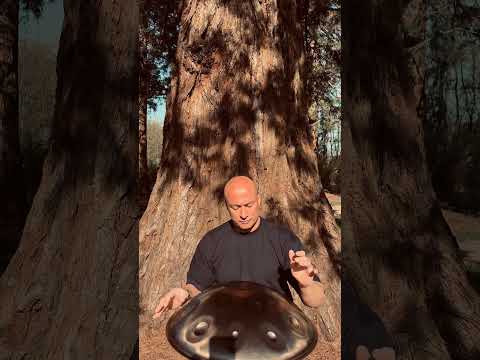 🌳 “Forest Pulse: Handpan Moments” 💚