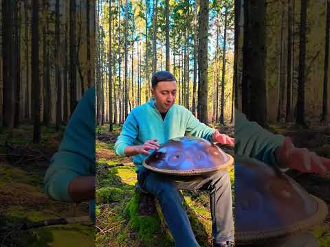 Something Unexpected Happened | Handpan & Birds in Winter Forest #handpan #nature #birds #meditation