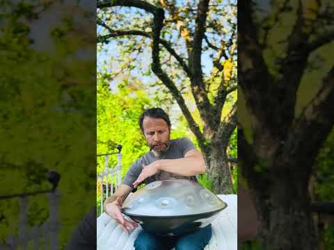 La Sirena first steps | Alwin Steinle | Handpan #handpan #handpanmusic #soundhealing #relax